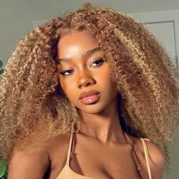 Julia Hair 13x4 Pre Cut Lace Front Wig 4C Kinky Edges Honey Blonde Highlights Kinky Curly Wig With Baby Hair