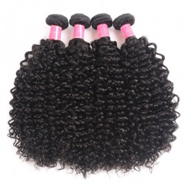 Julia 2 Pieces Curly Human Hair Weaves With 13x4 Transparent Lace Frontal Customizable Pre Plucked Curly Hair Lace Front Wig 220% Density