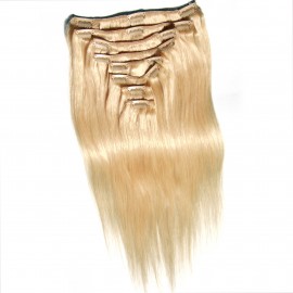 Julia Clip In Indian Human Virgin Hair Extensions Straight Full Head Clip On Human Hair Extensions