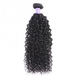 Julia 1 Piece Of Curly Weave Human Hair Natural Black Curly Weave Bundles 8-26 Inch
