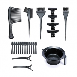 Julia VIP Exclusive Hair Dye Kit Cosmetology Hair Coloring Tint and Brush Kit Style Hair Color Tool Kit