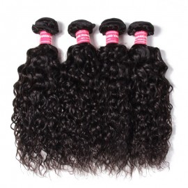 Julia 2 Pieces Water Wave Human Hair Bundles With Closure Natural Color Customizable Water Wave Wig