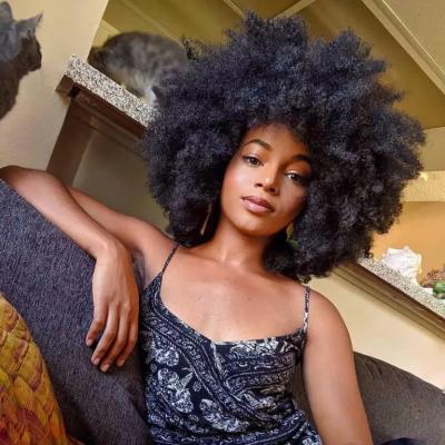 8.JuliaHair Afro Hairstyles