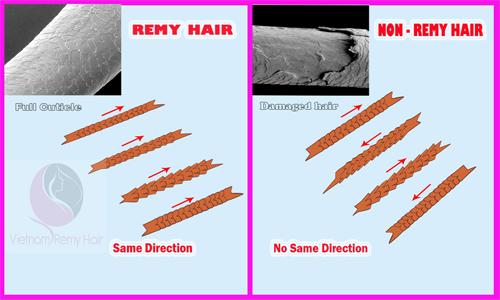 remy hair vs non-remy hair