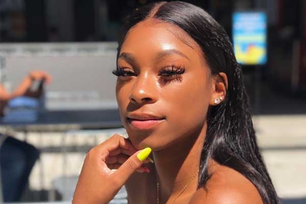 straight wave lace frontal