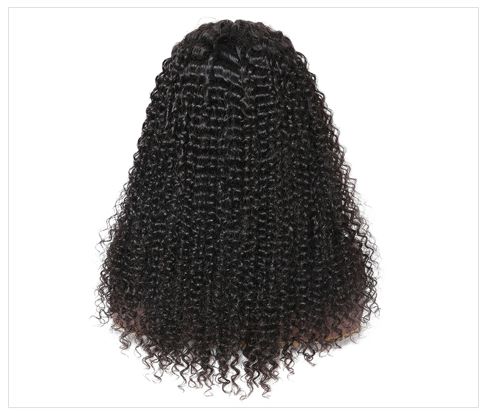 Julia 13x4 Lace Front Human Hair Wig 180% Density Pre Plucked Brazilian Curly Human Hair Wig For Women